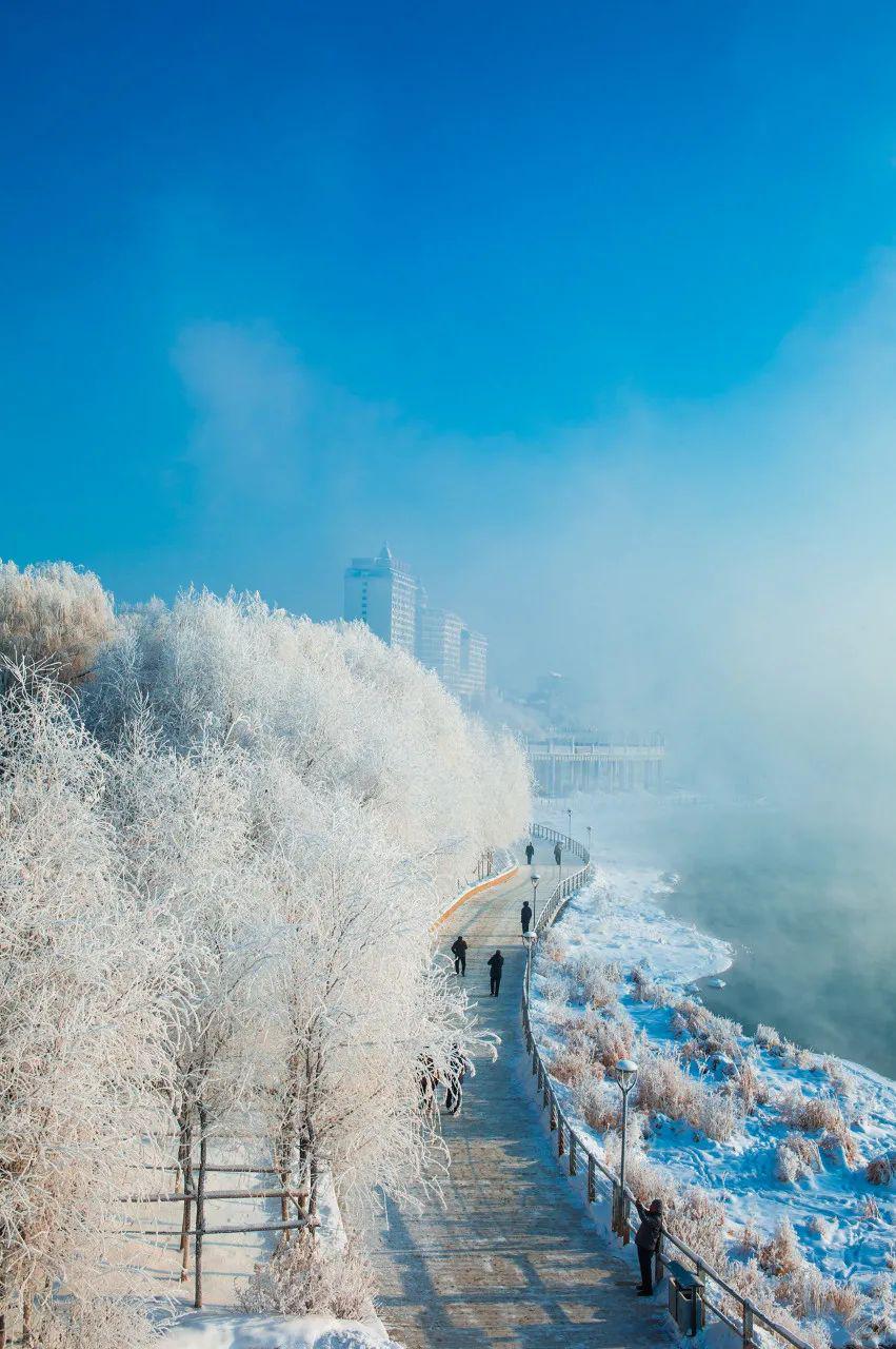 吉林发展的双刃剑效应探析与个人观点分享